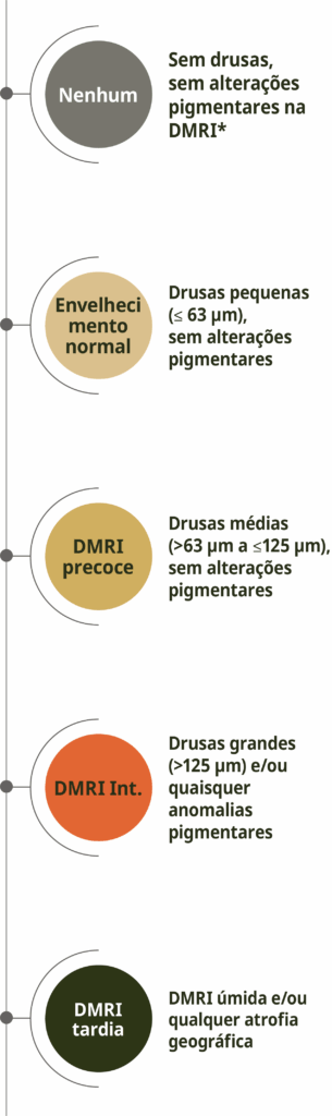 added image_Portuguese (Brazil)_12NOV2025